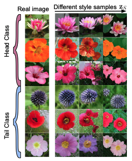 Multi-Domain Image Generation for Long-tailed Data
