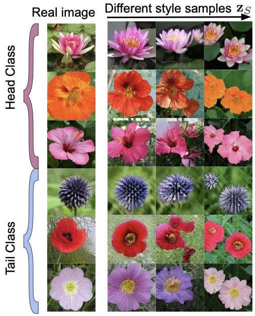 Flowers-LT content–style sweep